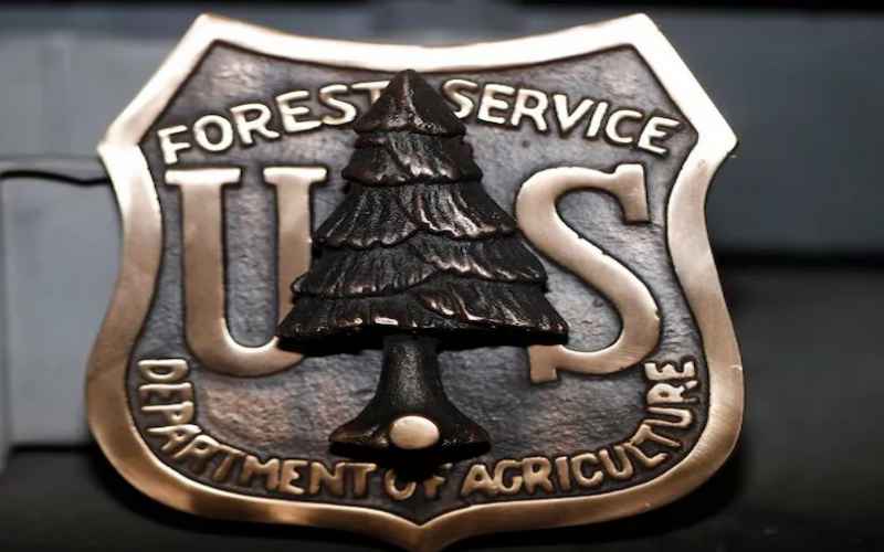  US Forest Service Fires 3,400 Workers, Park Service Cuts 1,000