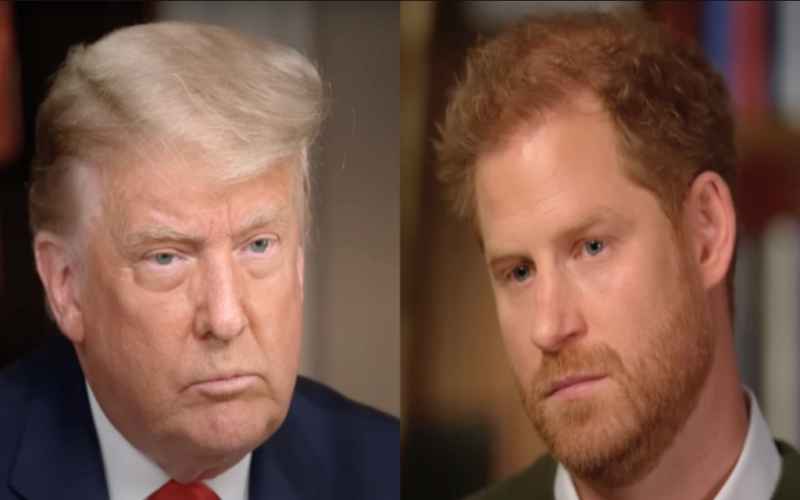  Did Prince Harry Lie About Past Drug Use