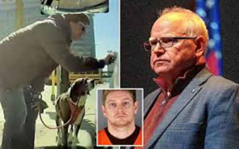  Tim Walz Employee Walks Free After Allegedly Vandalizing Teslas