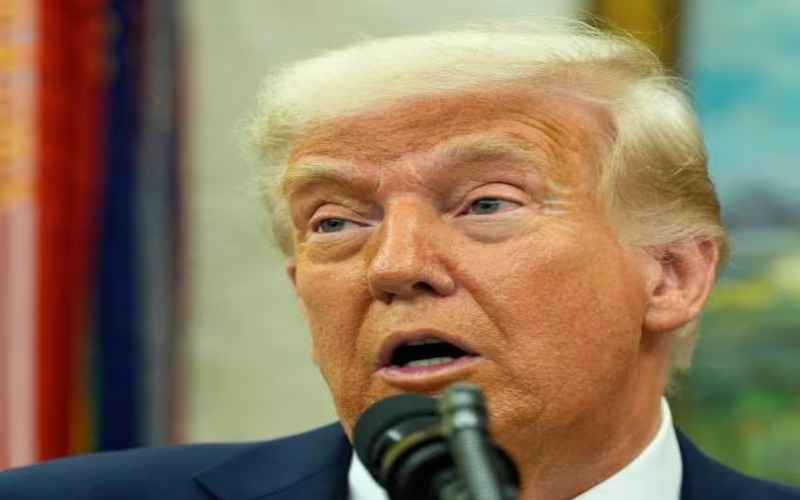  71 House Dems Seek Inquiry Into Trump Order on Museums