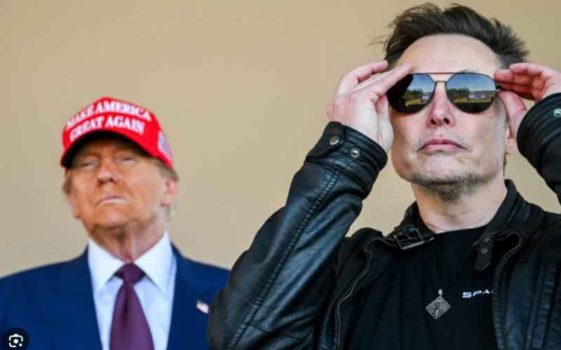  Dems Accuse Trump’s Government Watchdog Elon Musk of Concealing Conflicts of Interest