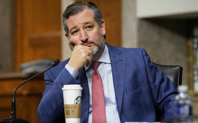  Tim Walz Invites Texans to ‘Flee’ to the ‘Free’ State of Minnesota, Ted Cruz Shuts Him Down