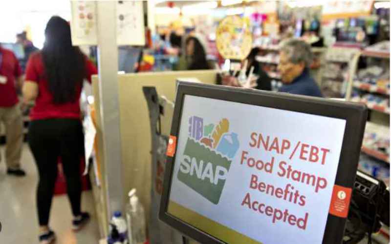  Trump’s USDA Uncovers ‘One of the Largest’ Food Stamp Fraud Schemes in US History