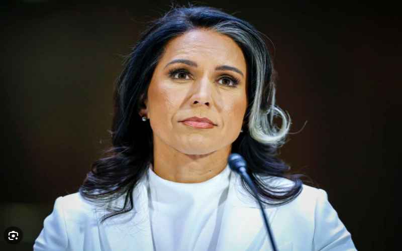  Tulsi Gabbard Purges Top Intel Officials Over Alleged Politicization and Leaks in Major Shake-Up
