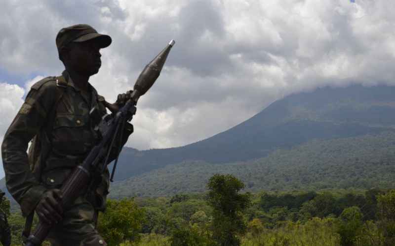  Essex Files U.S. Brokers Historic Congo-Rwanda Peace Accord