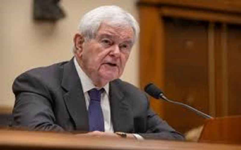 Gingrich Urges GOP Senate to Pass Trump’s ‘Big, Beautiful Bill’