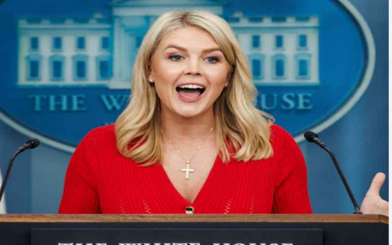  WH Signals Emergency Appeal to High Court on Tariff Block