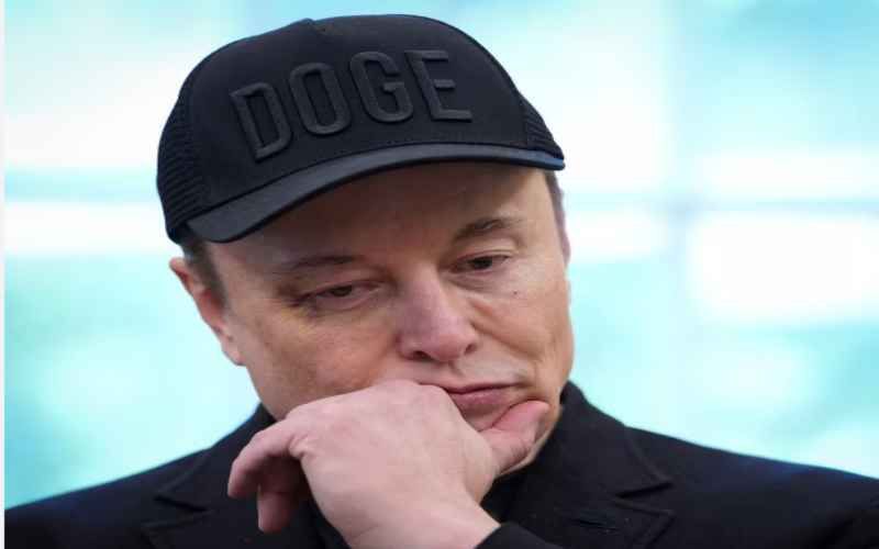 Musk ‘DOGE Became the Whipping Boy’