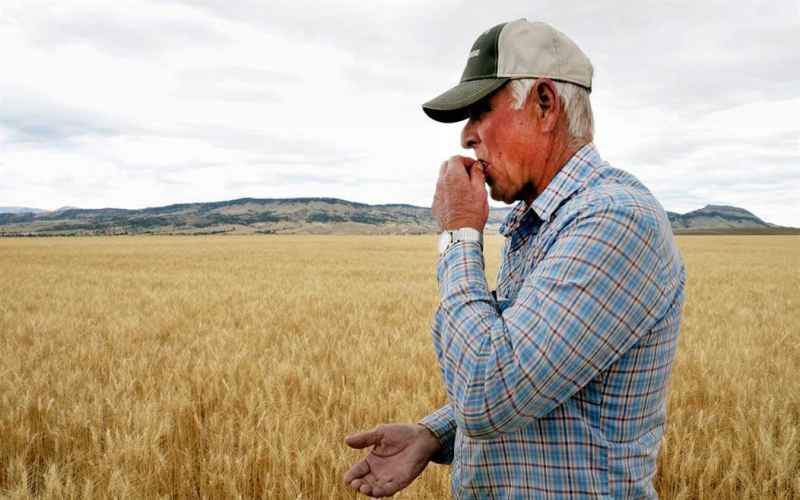  They Haven’t Stopped Chinese Students Attempted to Smuggle Agricultural Bioweapon Into US