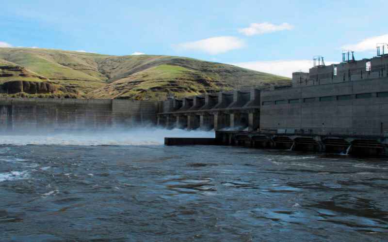  Trump Exits Pacific Northwest Salmon Restoration Deal